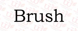 Brush