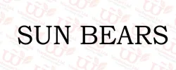 Sun Bear